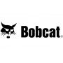 BOB - CAT